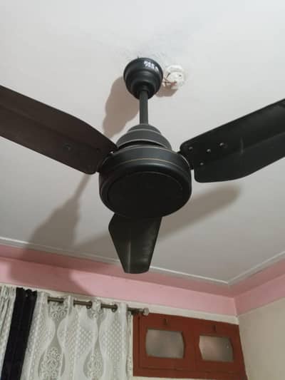 pakl. fan