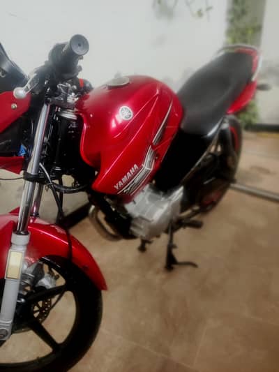 YAMAHA YBR 125