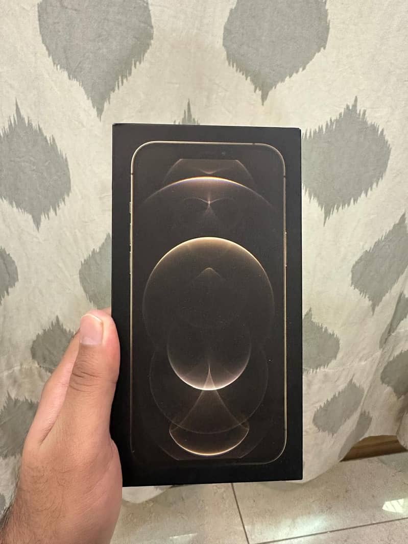 iPhone 12 Pro Max 0