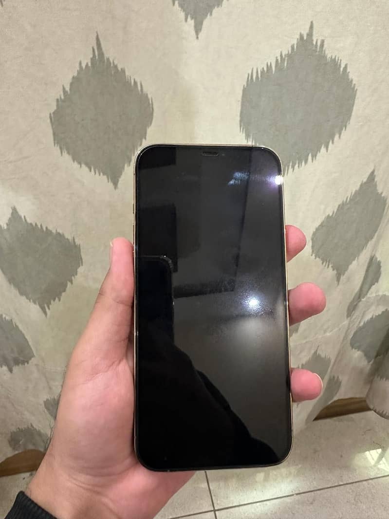 iPhone 12 Pro Max 5