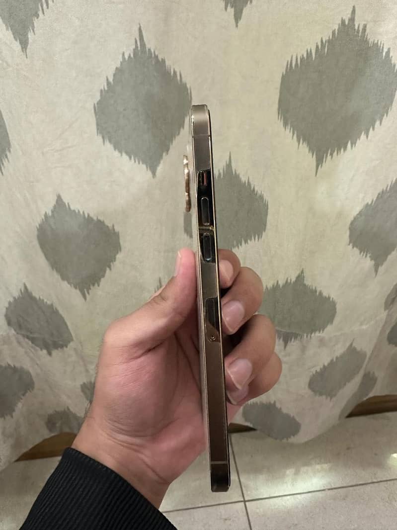 iPhone 12 Pro Max 6