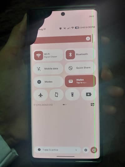 Google Pixel 6 Pro | Panel Damaged | P@tch Approved