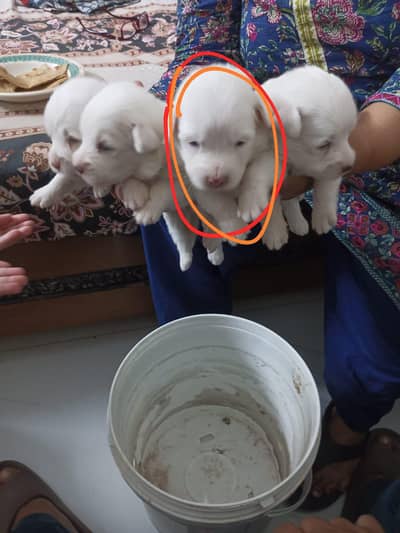 i am selling