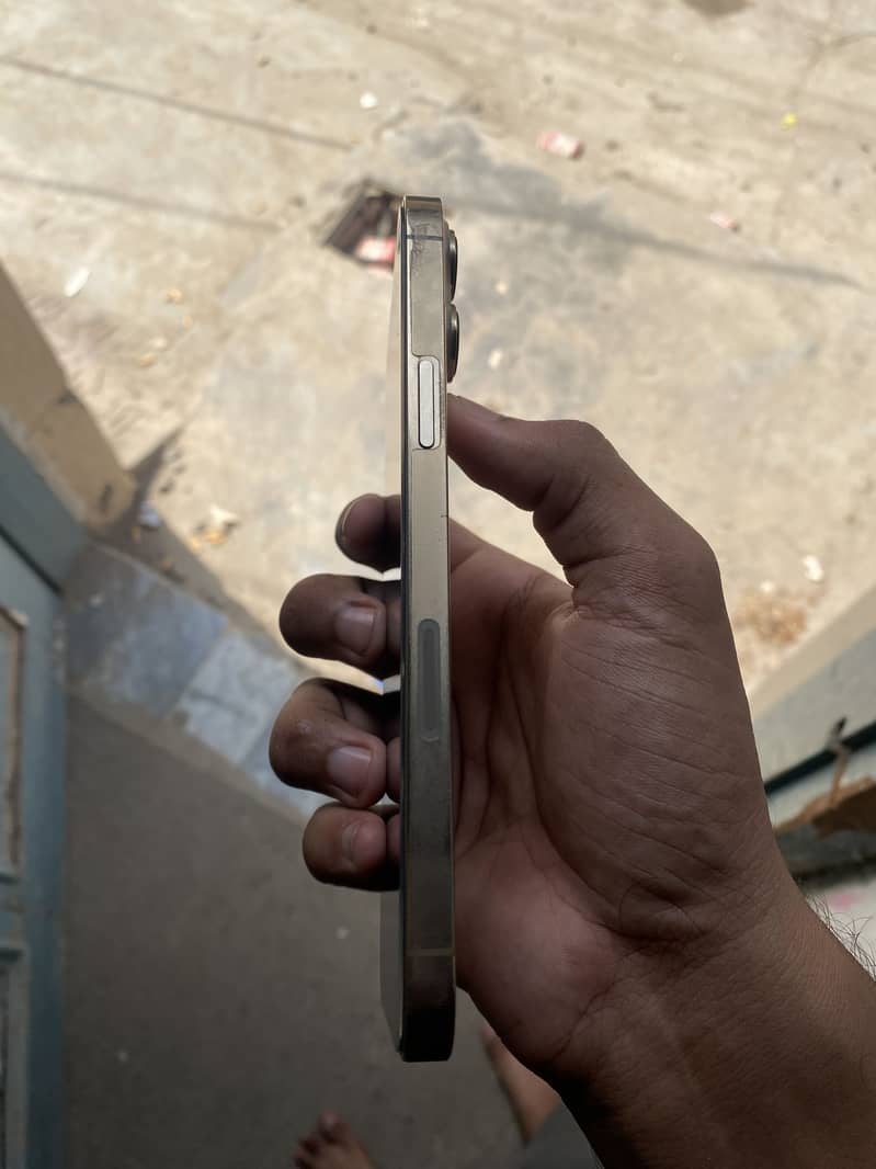 Apple iPhone 13 Pro Max 1