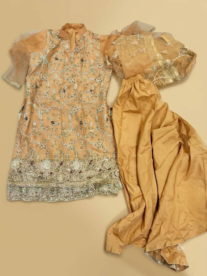 Fancy Dresses 1