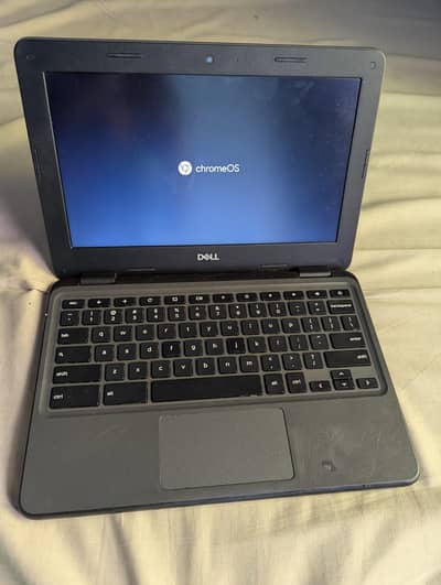 Dell 3100 Price Fix