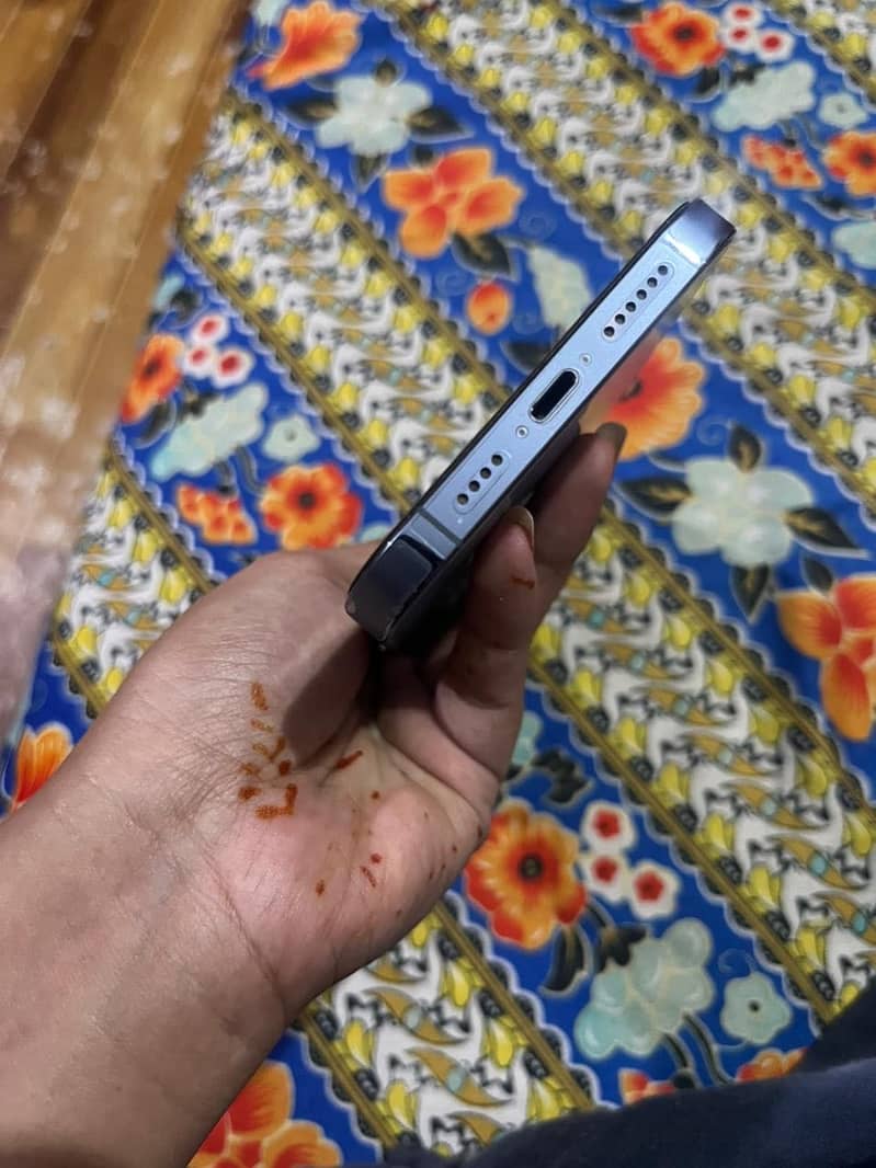 Apple iPhone 13 Pro Max 1