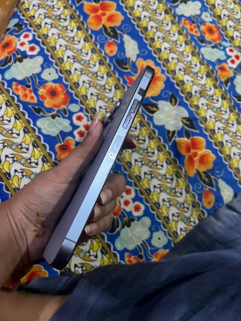 Apple iPhone 13 Pro Max 2
