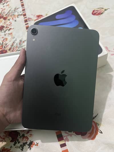 Ipad mini 6