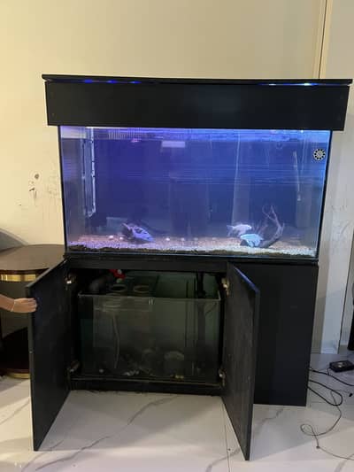 Fish aquarium with sunk auto filter 4X3 size