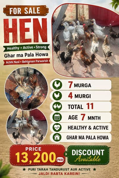 7 mnth  age ha full active ha for sale Ghar ma Pala hain