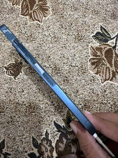 12 pro max 2