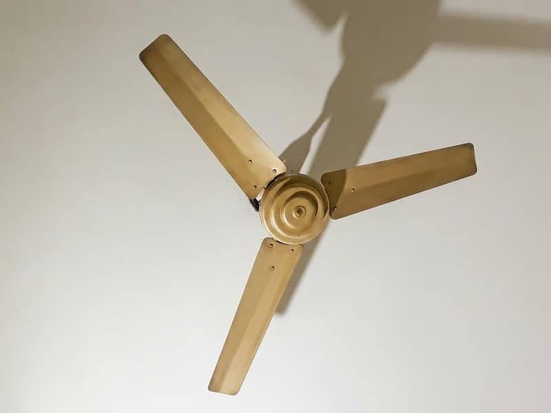 ceiling fans 0
