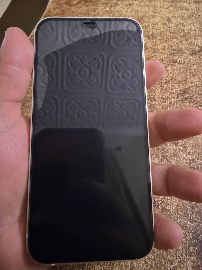 Apple iPhone 12 1