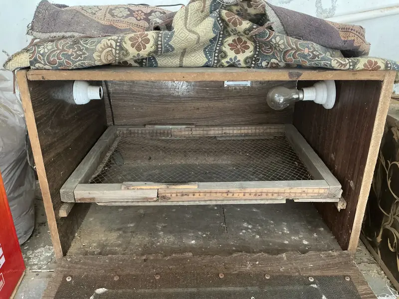 Wooden incubator — photo 2