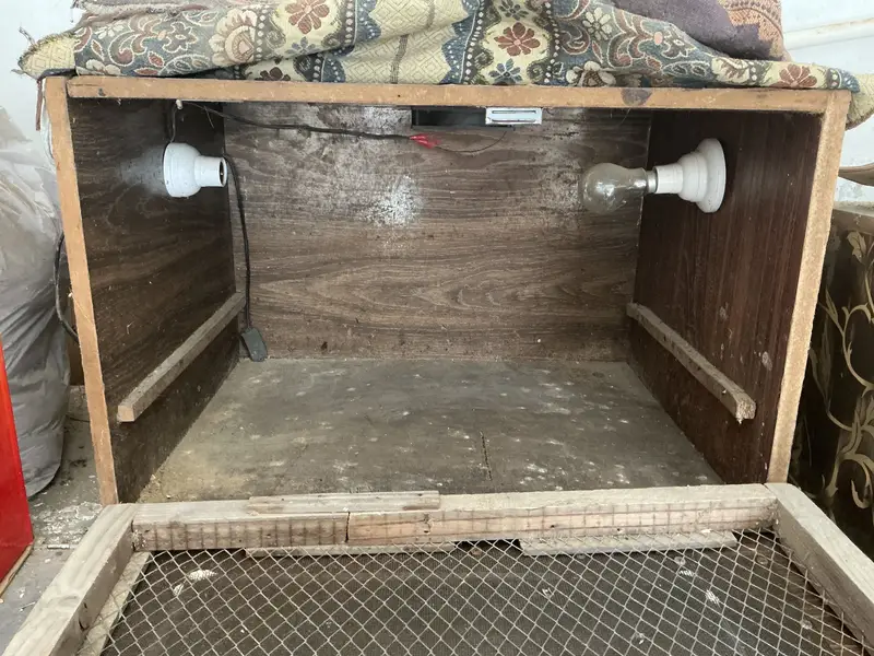 Wooden incubator — photo 3