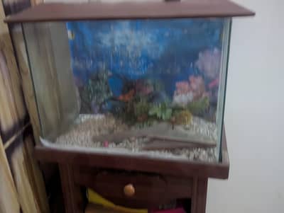 Fish Aquarium in good condition