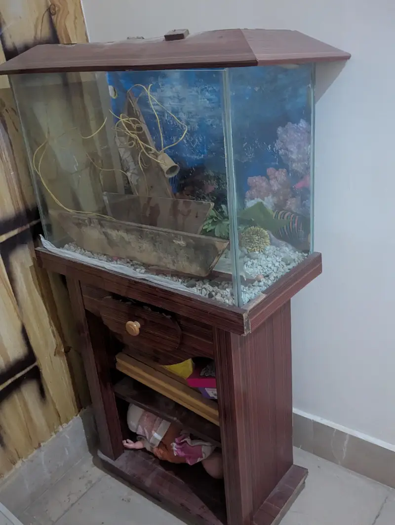 Fish Aquarium in good condition — photo 3
