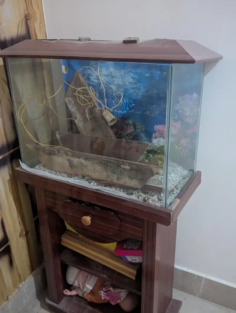 Fish Aquarium in good condition — photo 5