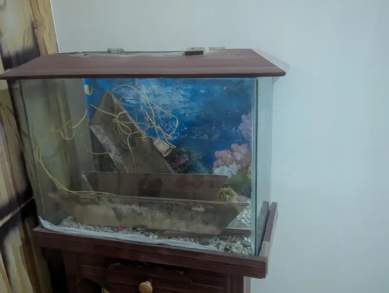 Fish Aquarium in good condition — photo 6