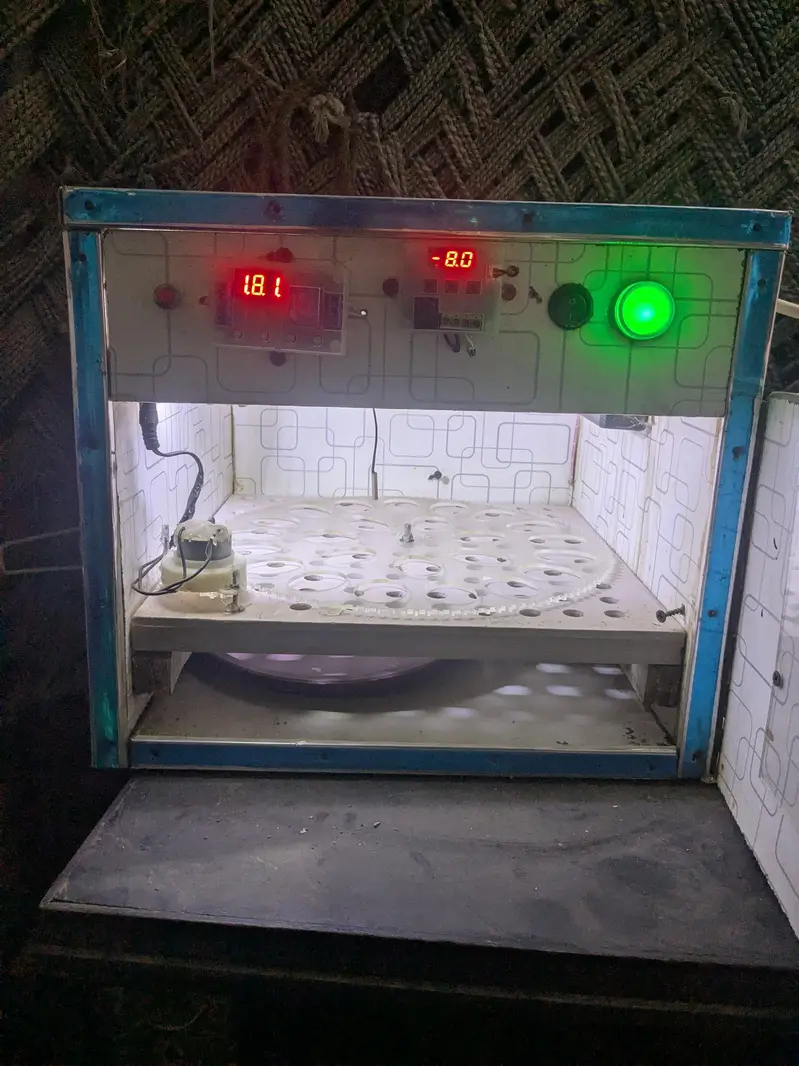 24 Automatic Incubator — photo 2