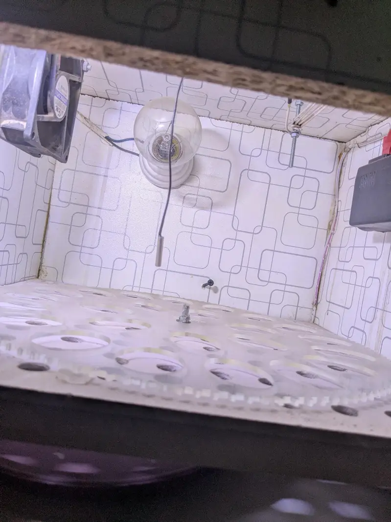 24 Automatic Incubator — photo 3