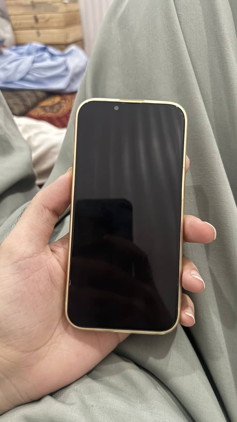 Apple iPhone 13 0