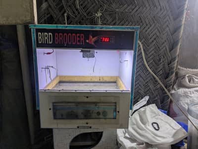 24 chicks capacity Brooders