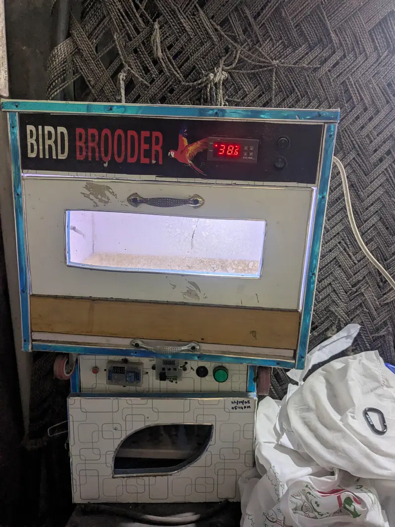 24 chicks capacity Brooders — photo 2