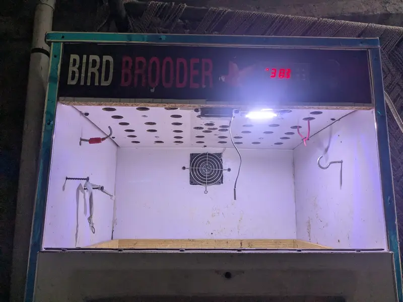 24 chicks capacity Brooders — photo 4