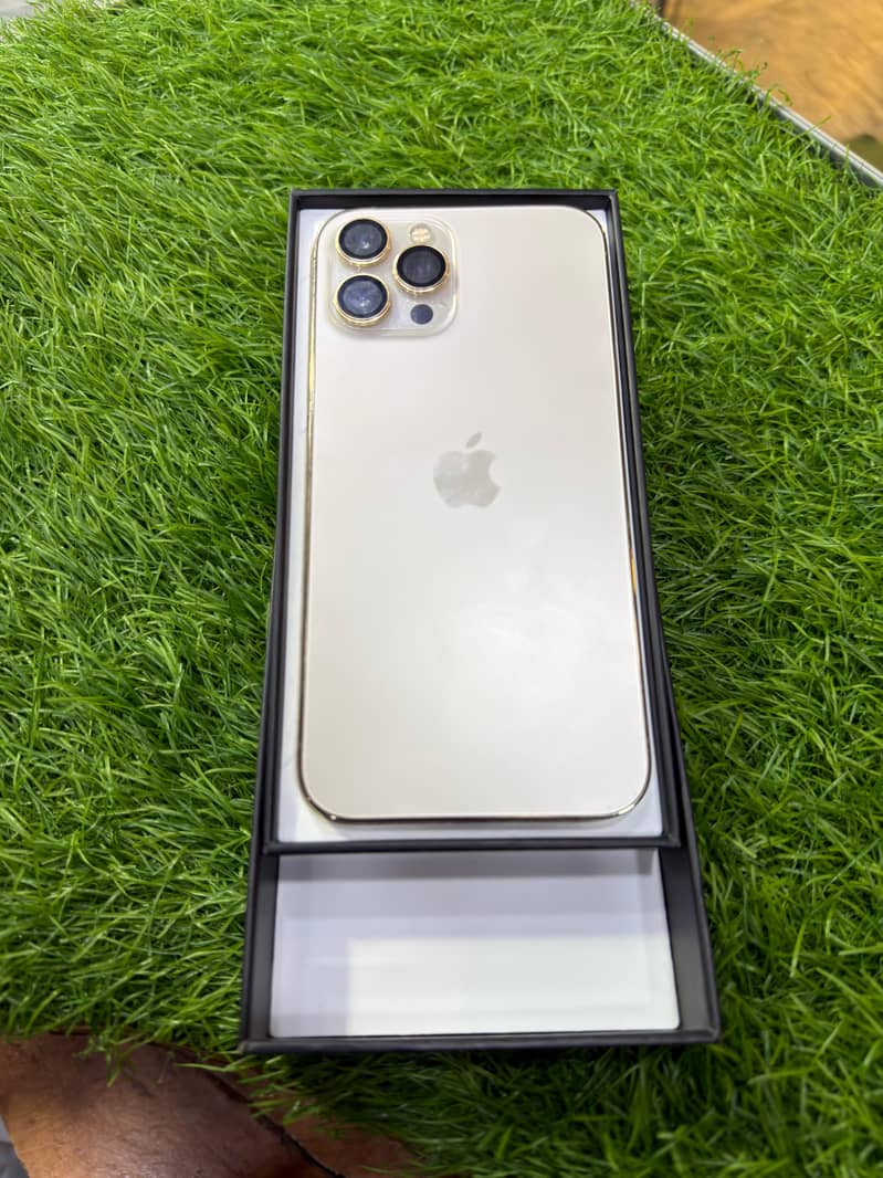IPhone 12 pro max 2