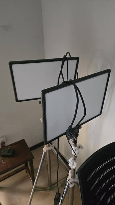 Bi Color Photography Lights with Heavy Duty Stands