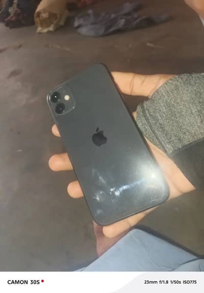 Apple iPhone 11