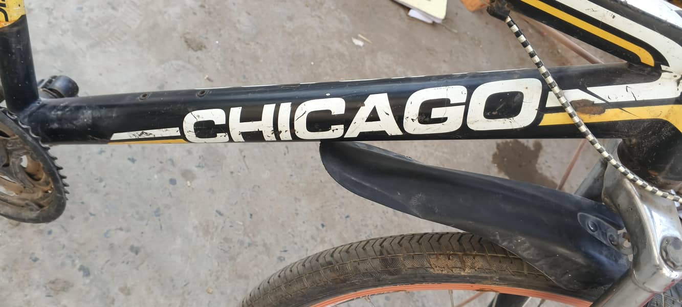 bicycle 2