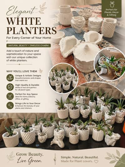 Planter/plant pots/gamla/plant pots/plants pot/gamle/Plants