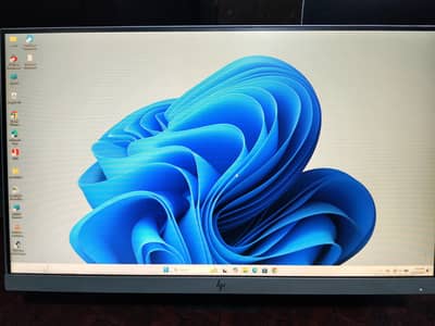 hp 24"
