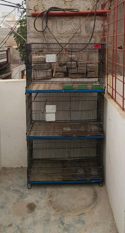cage 4 sale