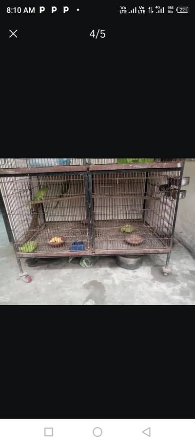 iron Cage and wooden Cage  3295367076