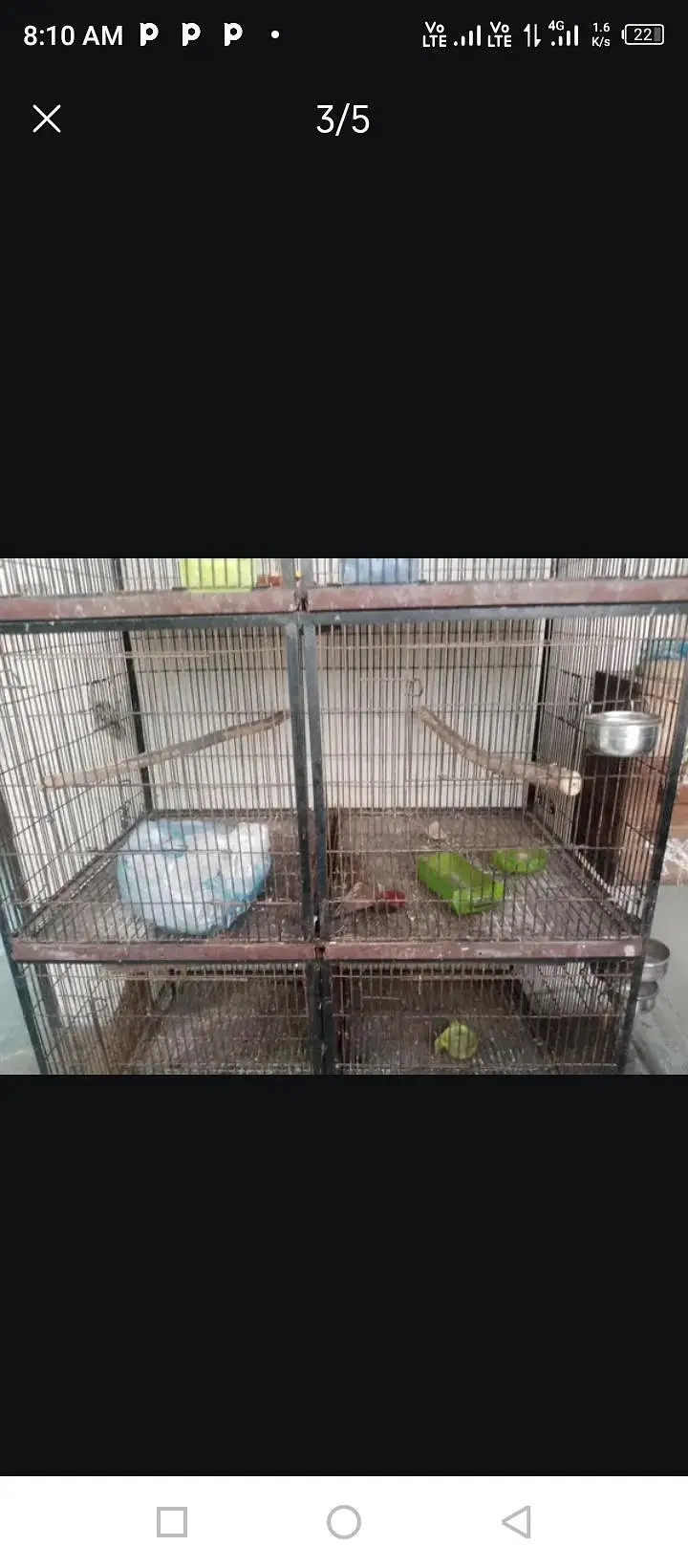 iron Cage and wooden Cage  3295367076 — photo 2
