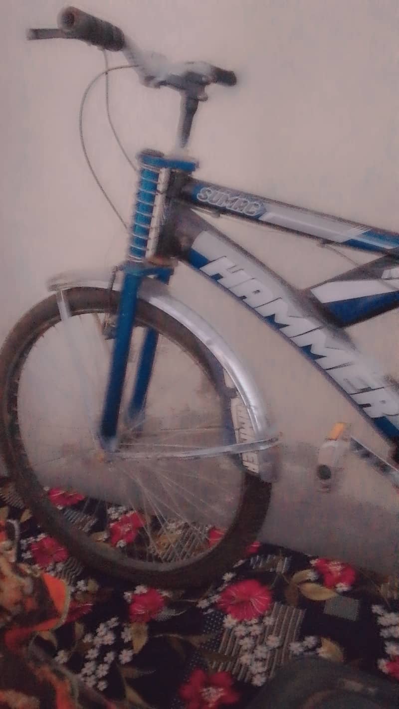 Asimch 0