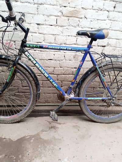 Cycles