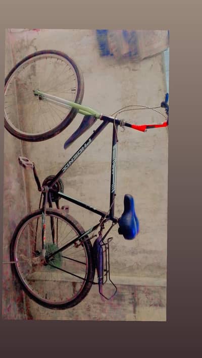 bicycle.