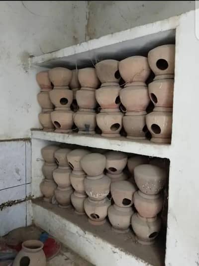 birds pots & finches mattki available for sale