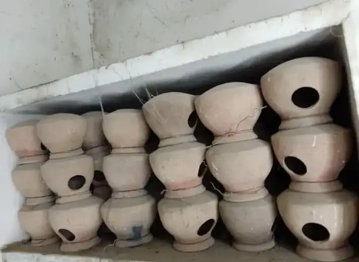 birds pots & finches mattki available for sale — photo 10