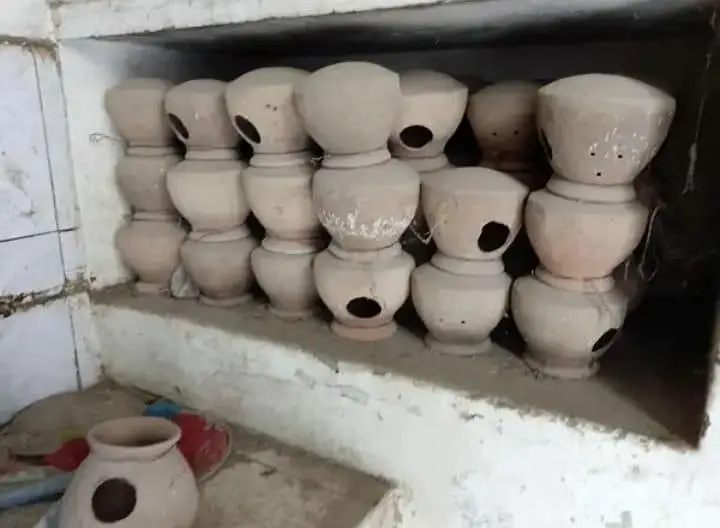 birds pots & finches mattki available for sale — photo 11