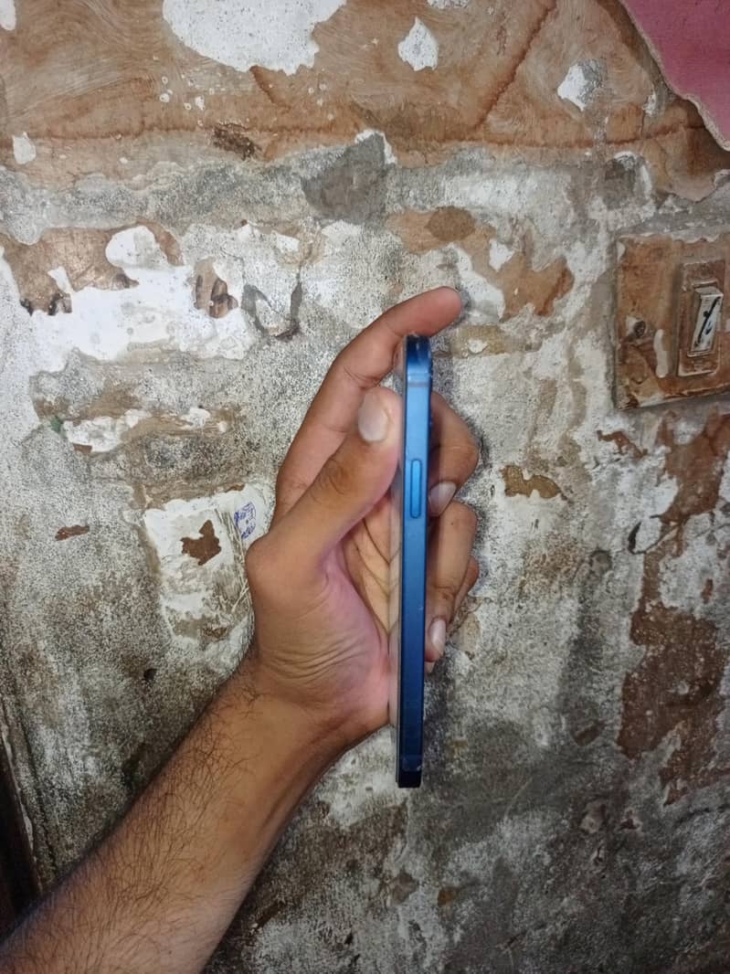 Apple iPhone 12 1
