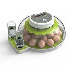 Eggs Hatching Incubator ac and dc dualانڈوں سے چوزے نکلا لنے والی مشین