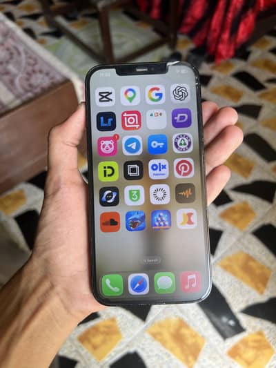 Apple iPhone 12 Pro Max