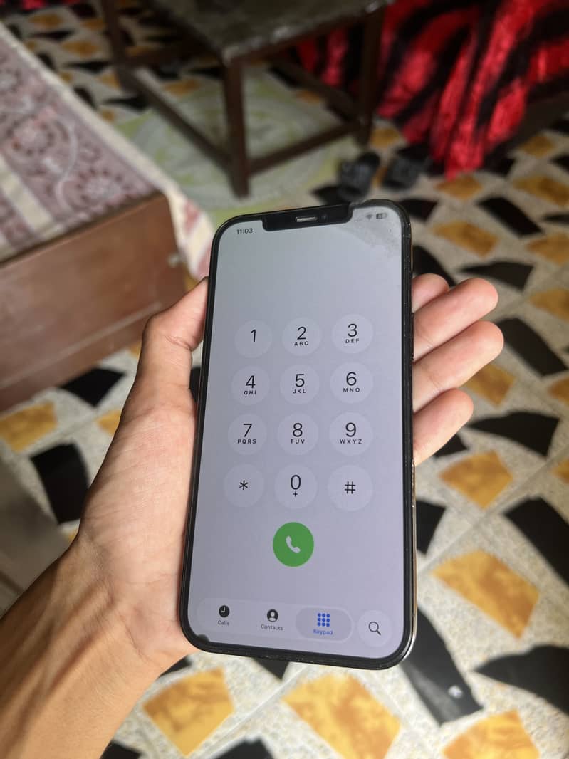 Apple iPhone 12 Pro Max 1