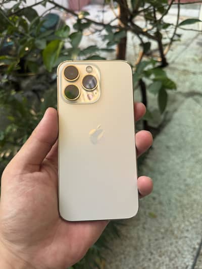 Apple iPhone 13 Pro